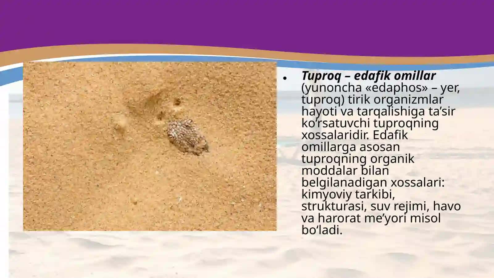 V.V.Dokuchayev tuproqshunoslik va tuproqlar geografiyasining asoschisi. 3