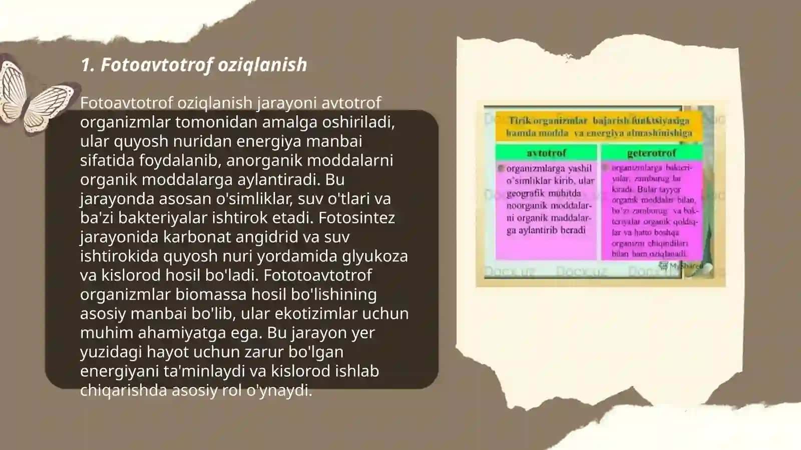 Organizmning oziqlanish usullari mavzudida taqdimot tayyorlash 3