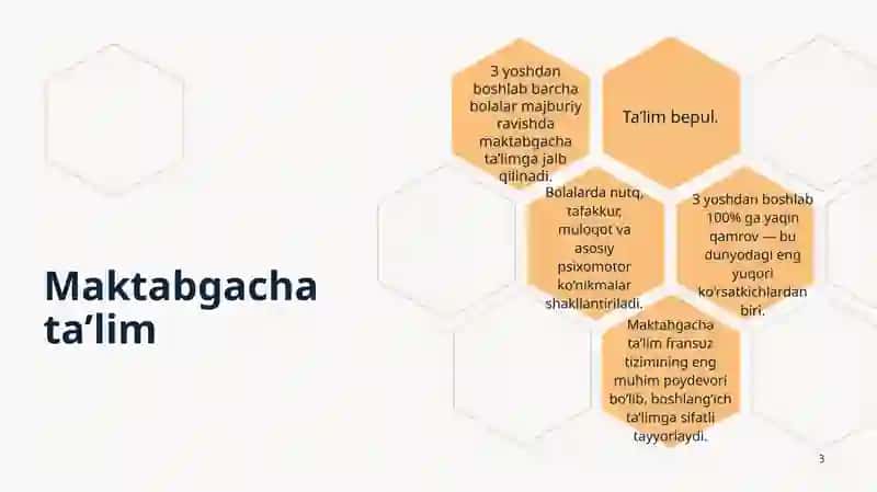 Fransiya ta’lim tizimi 3