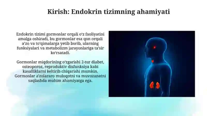 Endokrin sistemasini yoshga bog'liq xususiyatlari 3