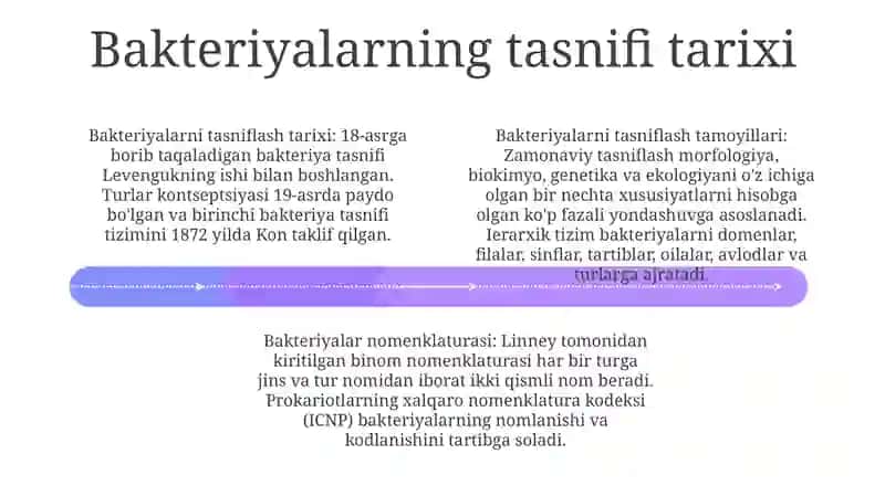 Bakteriyalarning Klassifikatsiyasi,Nomenklaturasi,Prinsiplari 3