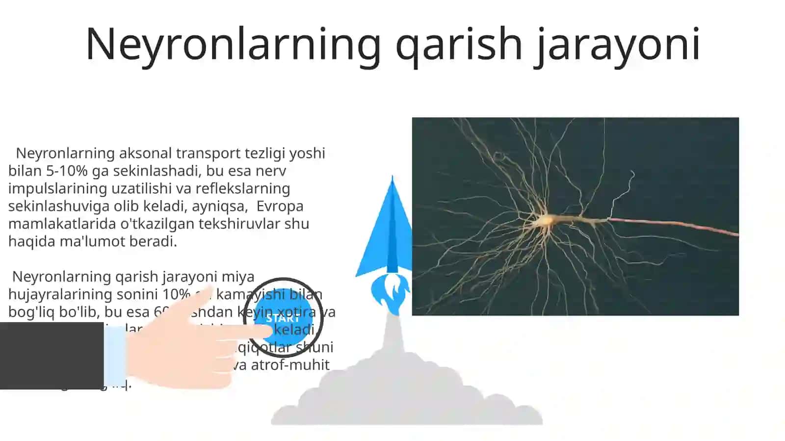 Nerv tzmning yoshga oid umumiy fiziologyasi va gigeniyasi 3