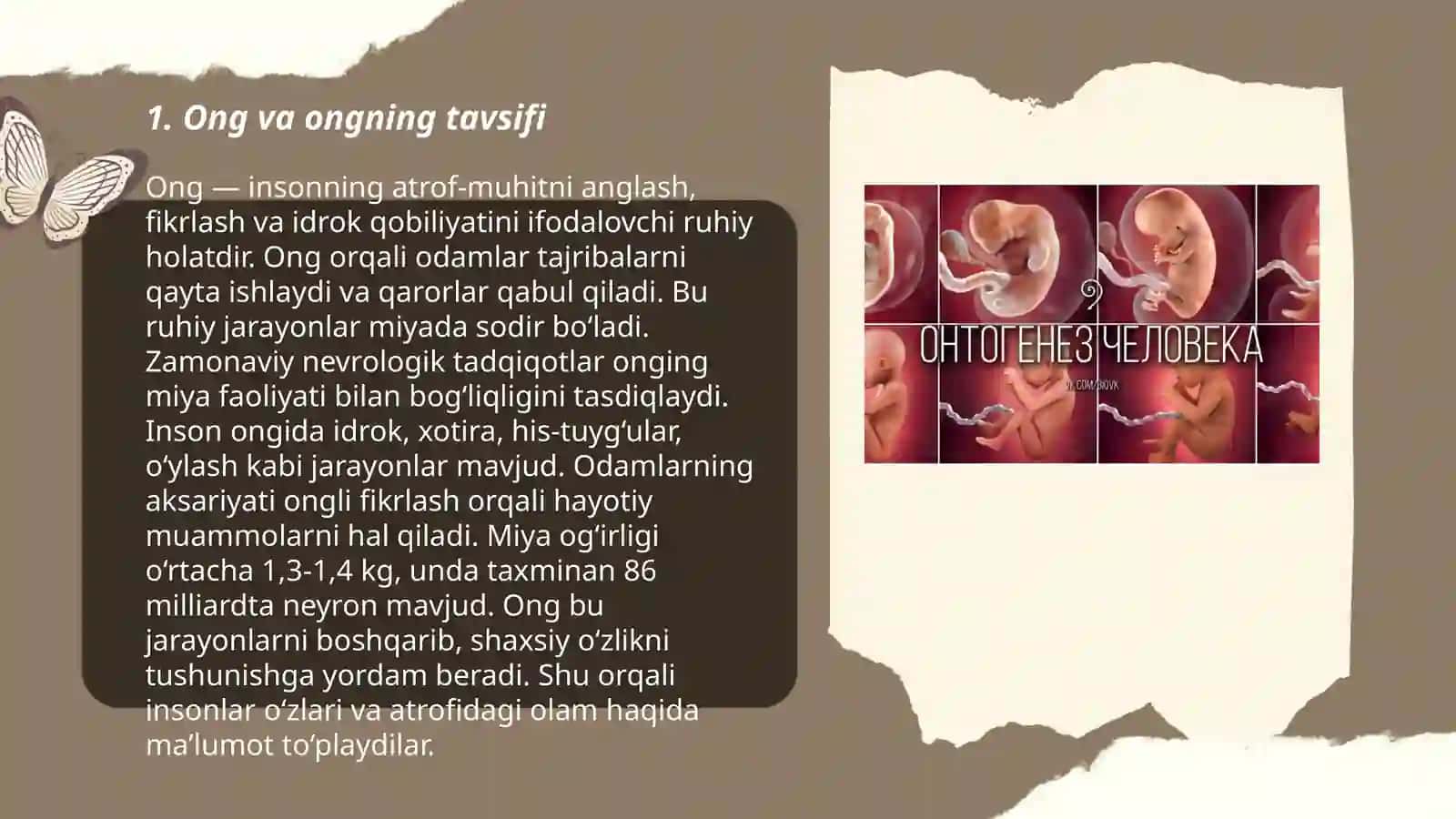 Ong va uning rivojlanishi 3