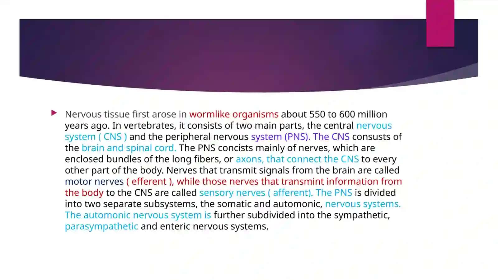 Nervous system 3