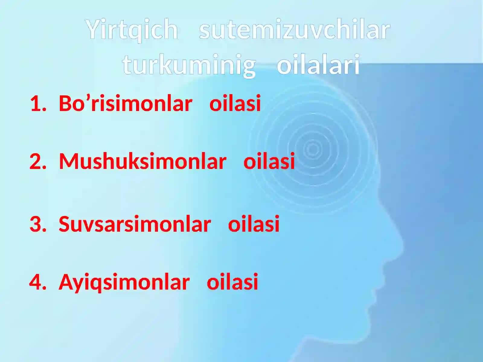 Yirtqich sutemizuvchilar turkumi7-sinflar uchun tayyorlangan 3