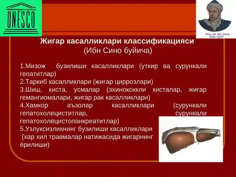 Жигар касалликларида Ибн Сино карашлари 3