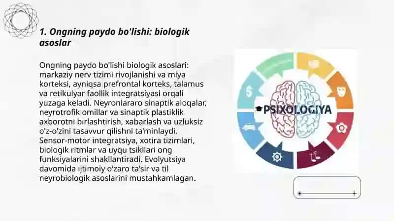 Ongning paydo bo'lishi va uning taraqqiyoti. Instinktlar. Instinktlarning klassifikatsiyasi 3