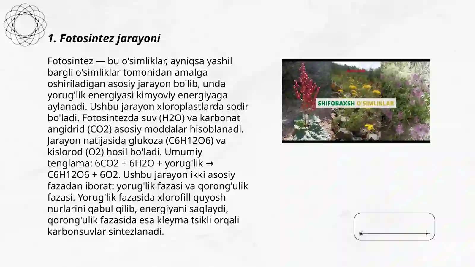 O'simliklar hujayrasining energetikasi haqida 3