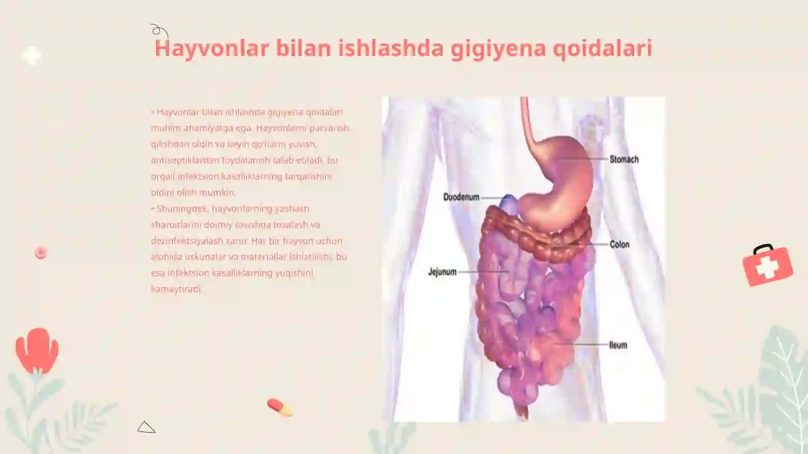 Infeksion kasallikka chalingan hayvonlar bilan ishlash qoidalari 3
