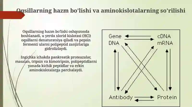 Odamorganizmidaoqsinlarningbiokimyoviyoʻzgarishi 3