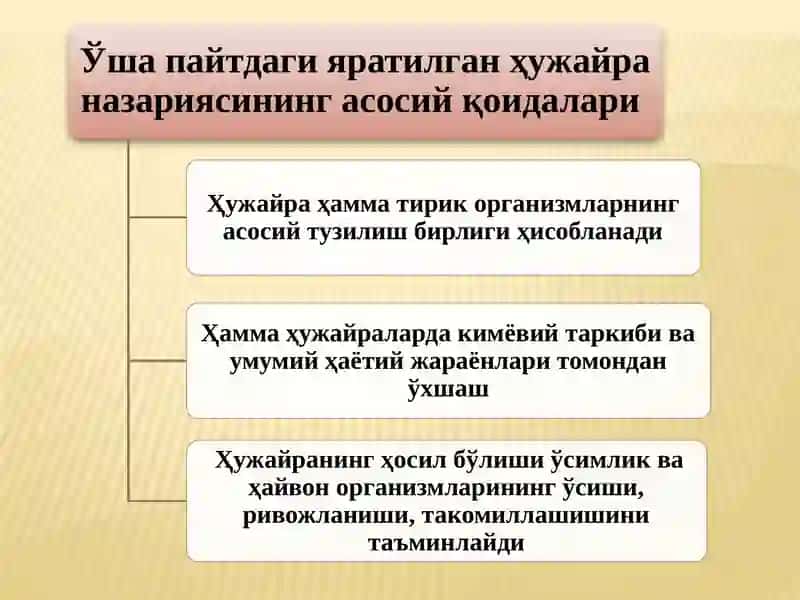 ҲУЖАЙРА НАЗАРИЯСИ, УНИНГ ШАКЛЛАРИ ВА ЭВОЛЮЦИЯСИ 3