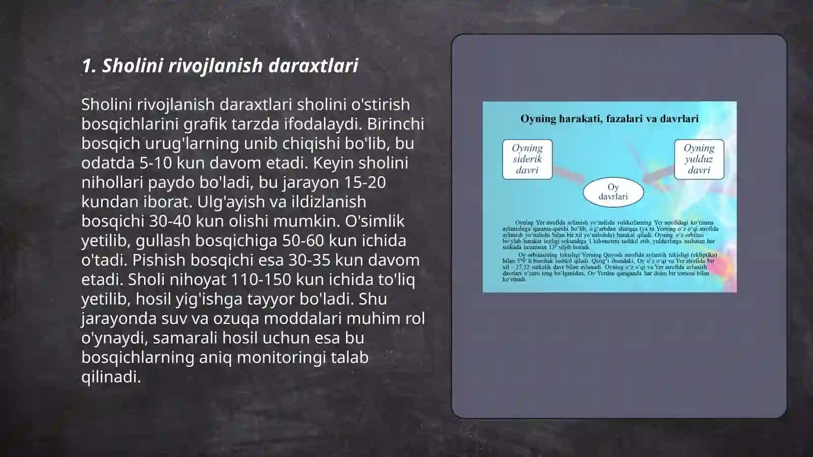 Sholini rivojlanish davrlaring oʼtish davrlari 3