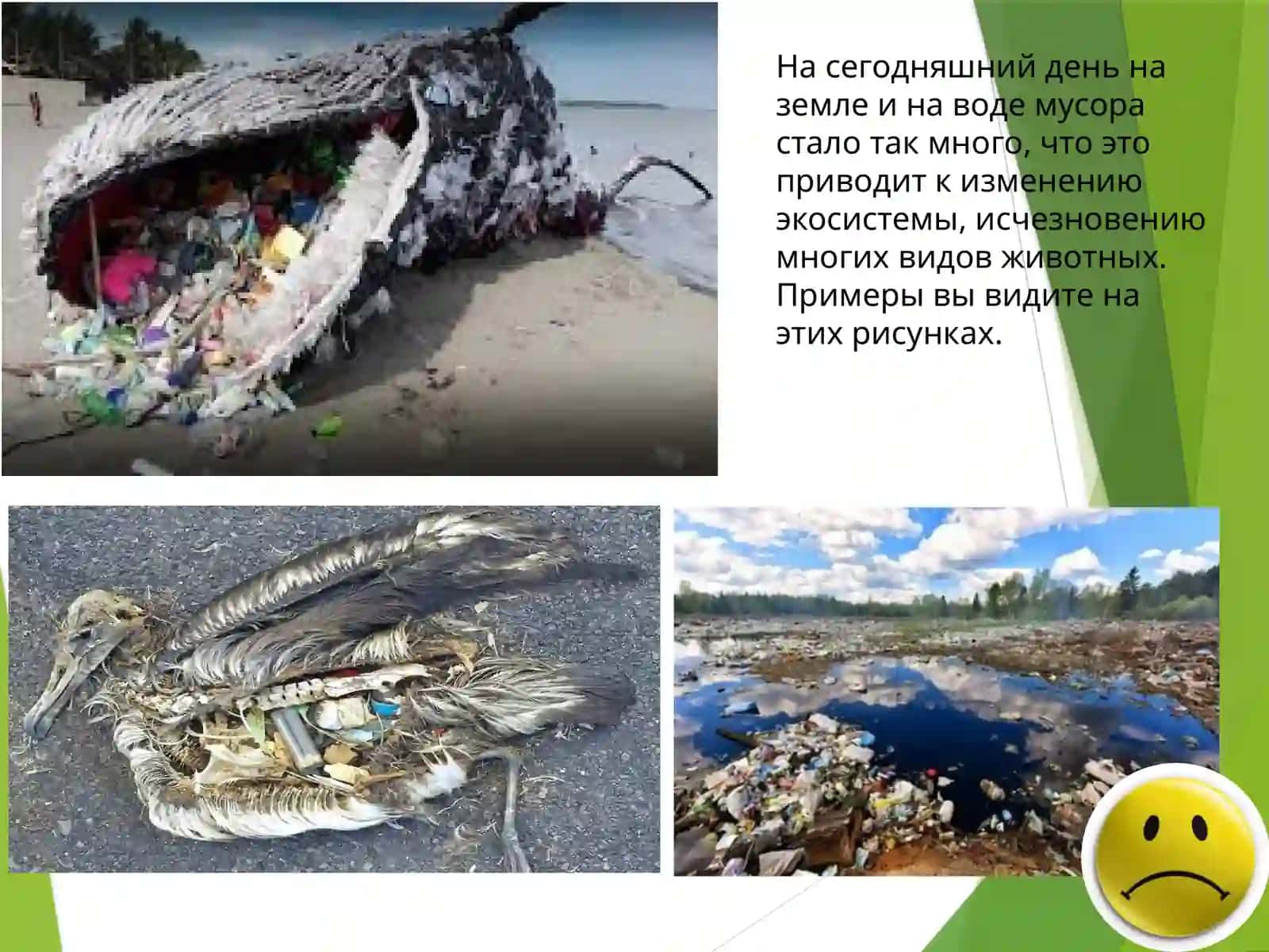 Мусор сегодня и завтра,. Сегодня всемирный День Чистоты 3