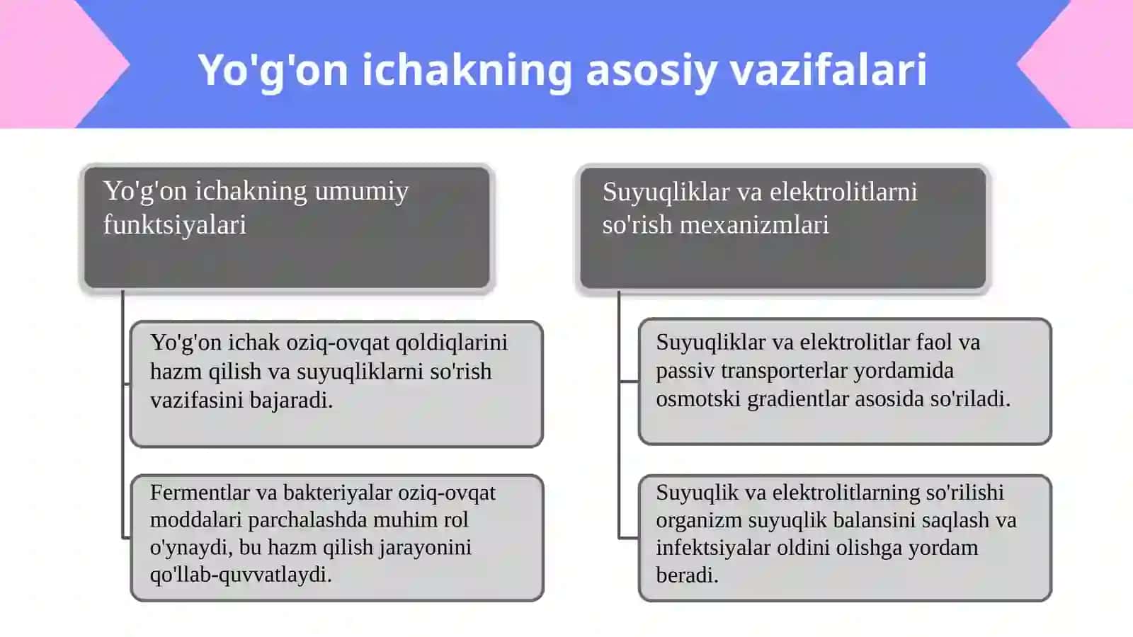 Yo'g'on ichak vazifalari. Kron kasalligi va oilaviy polipoz, yarali kolit rivojlanishining biokimyoviy asoslari 3