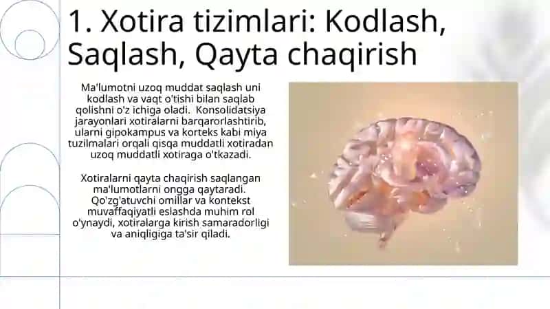 Xotira, xotiraning nerv fiziologik asoslari 3