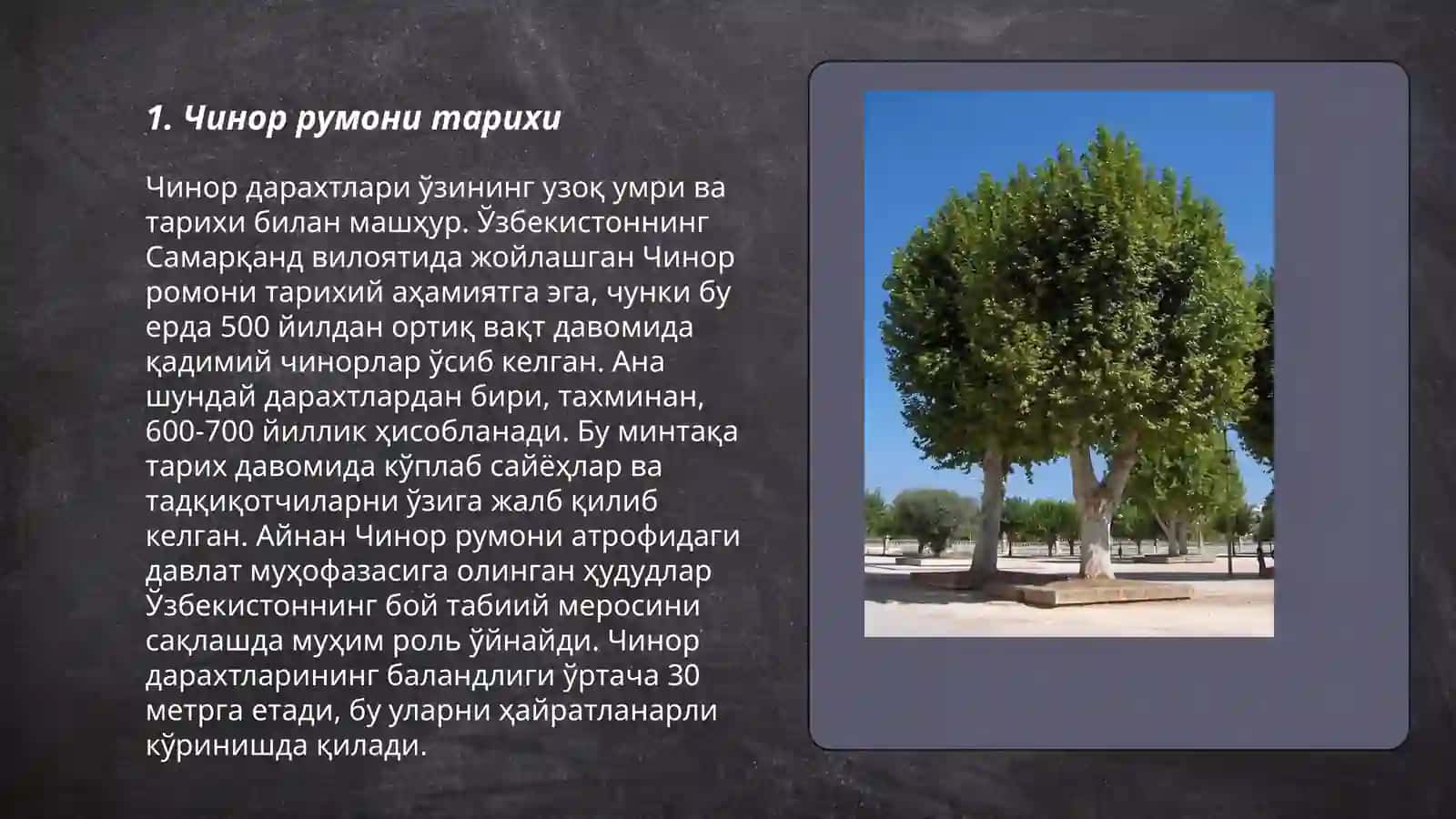 Чинор румони тарихи 3