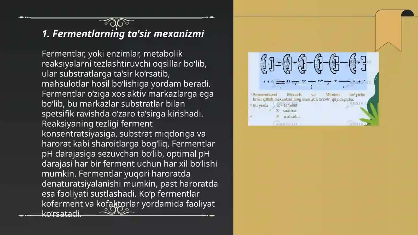 Fermentlarning ta'sir mexanizmi 3