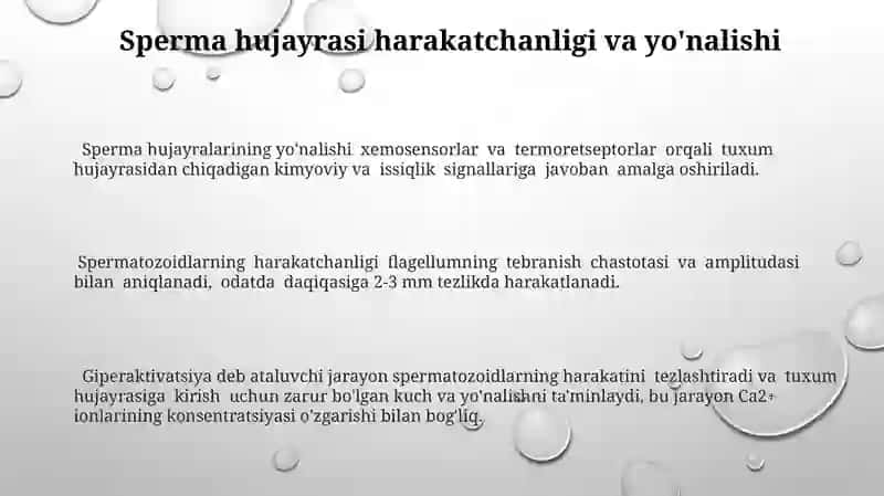 Zamonaviy homuza hosil qilish mexanizimlar 3