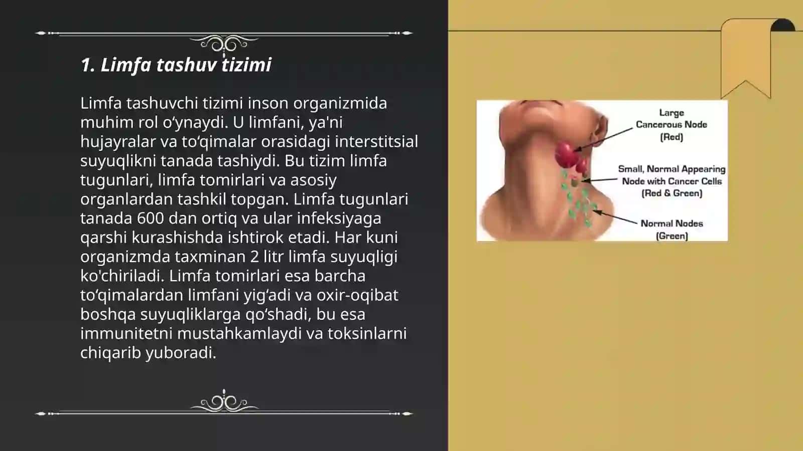 Limfa drinaj 3