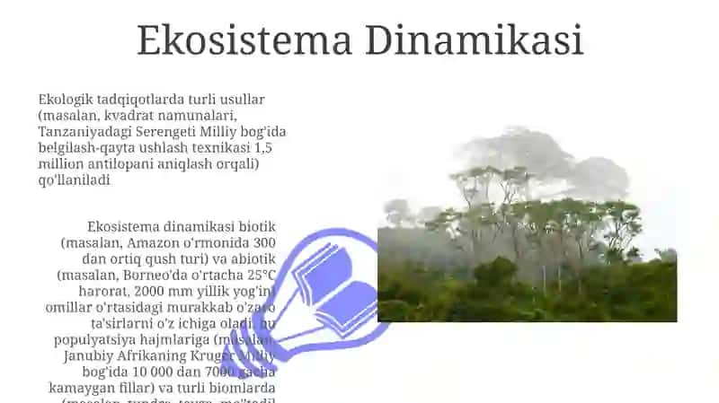 Kompyuter 3