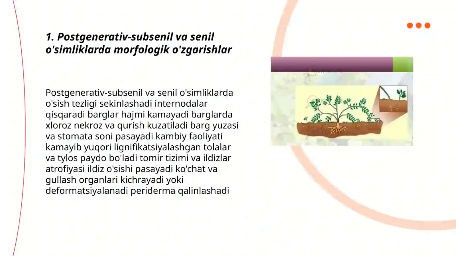 Postgenerativ-subsenil va senil holatidagi òsimliklar 3