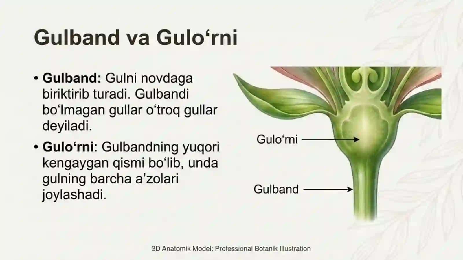 Gul - o'simliklarning generativ ko'payish organi 3