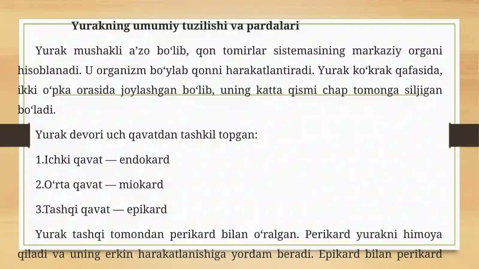 Yurakning umumiy tuzilishi va pardalari 3