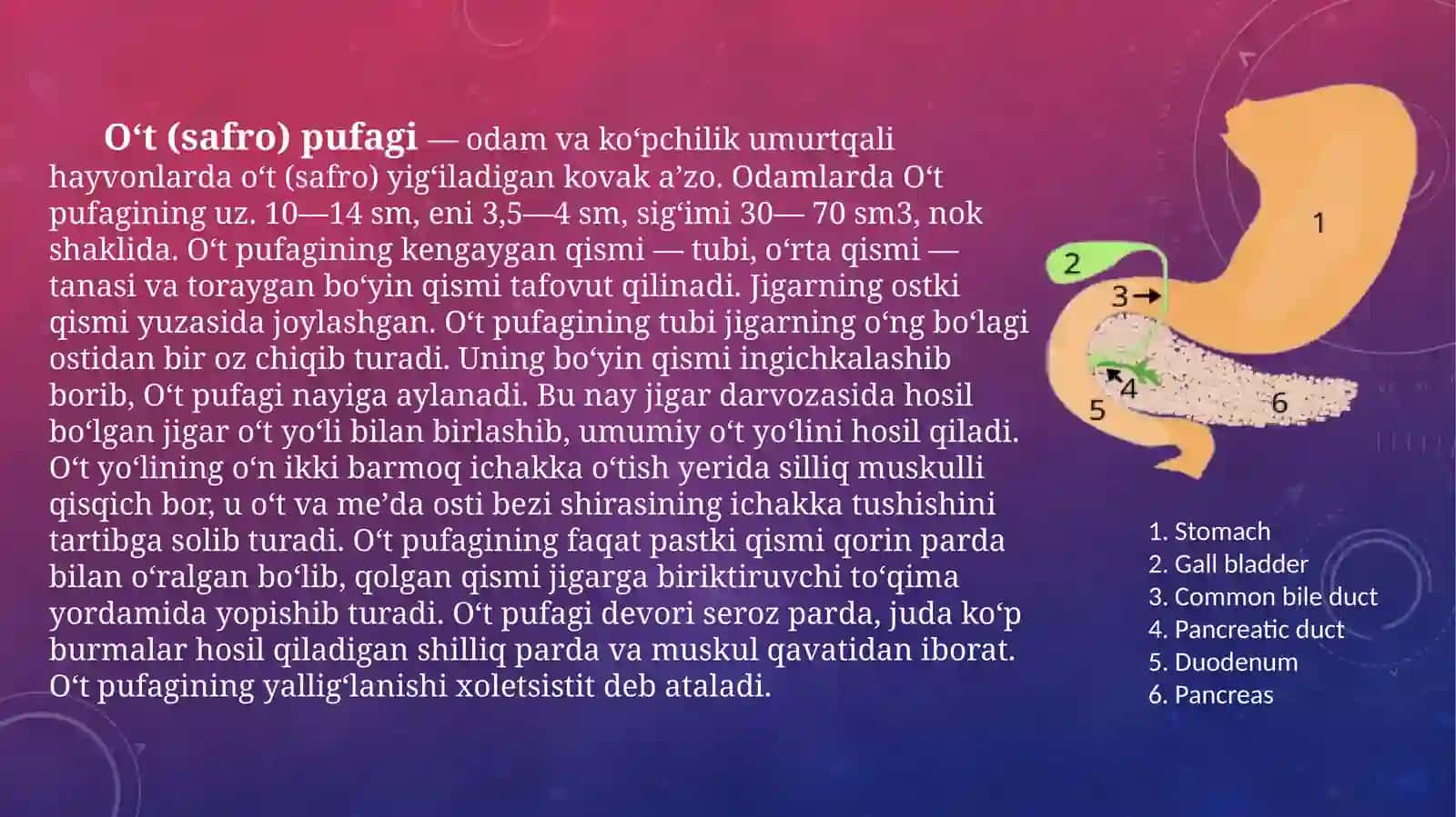O‘tpu fagi haqida ma’lumot 3
