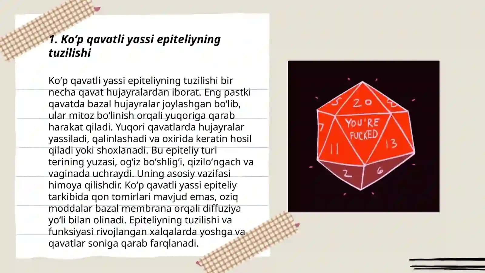 Koʻp qavatli yassi epiteliyning qavatlarini tahlil qilish 3