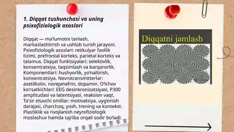 Diqqat haqida tushuncha va uning nerv- fiziologik asoslari 3