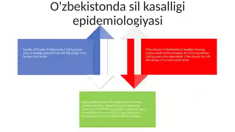 O'Zbekiston Tuberkulyoz Bo'Yicha Epidemilogik Vaziyatni Baholash 3