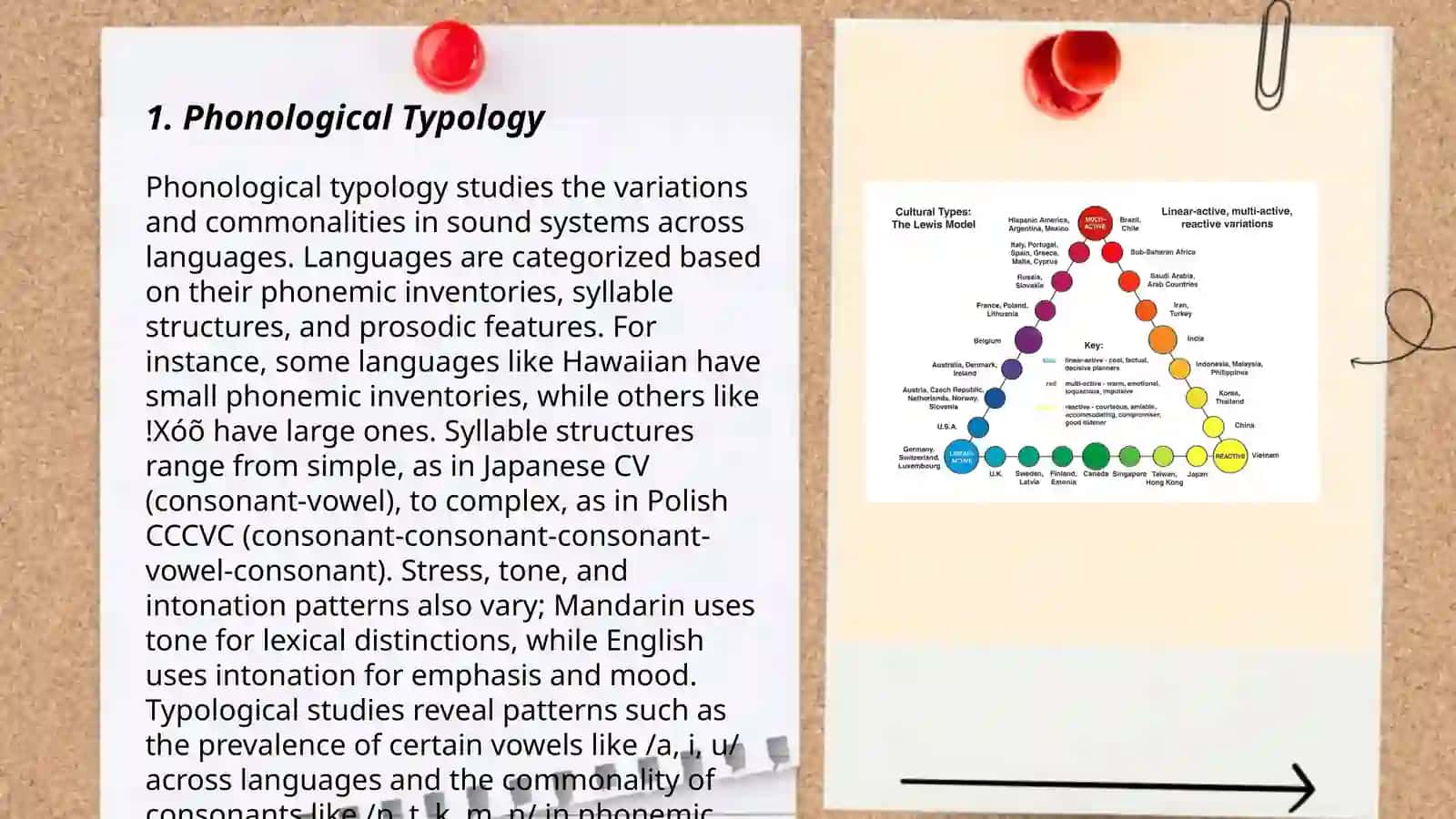 Types of Linguistic typology 3