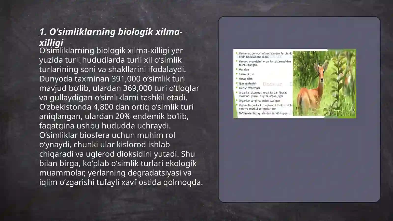 Oʻsimlik va Hayvonot Dunyosi 3