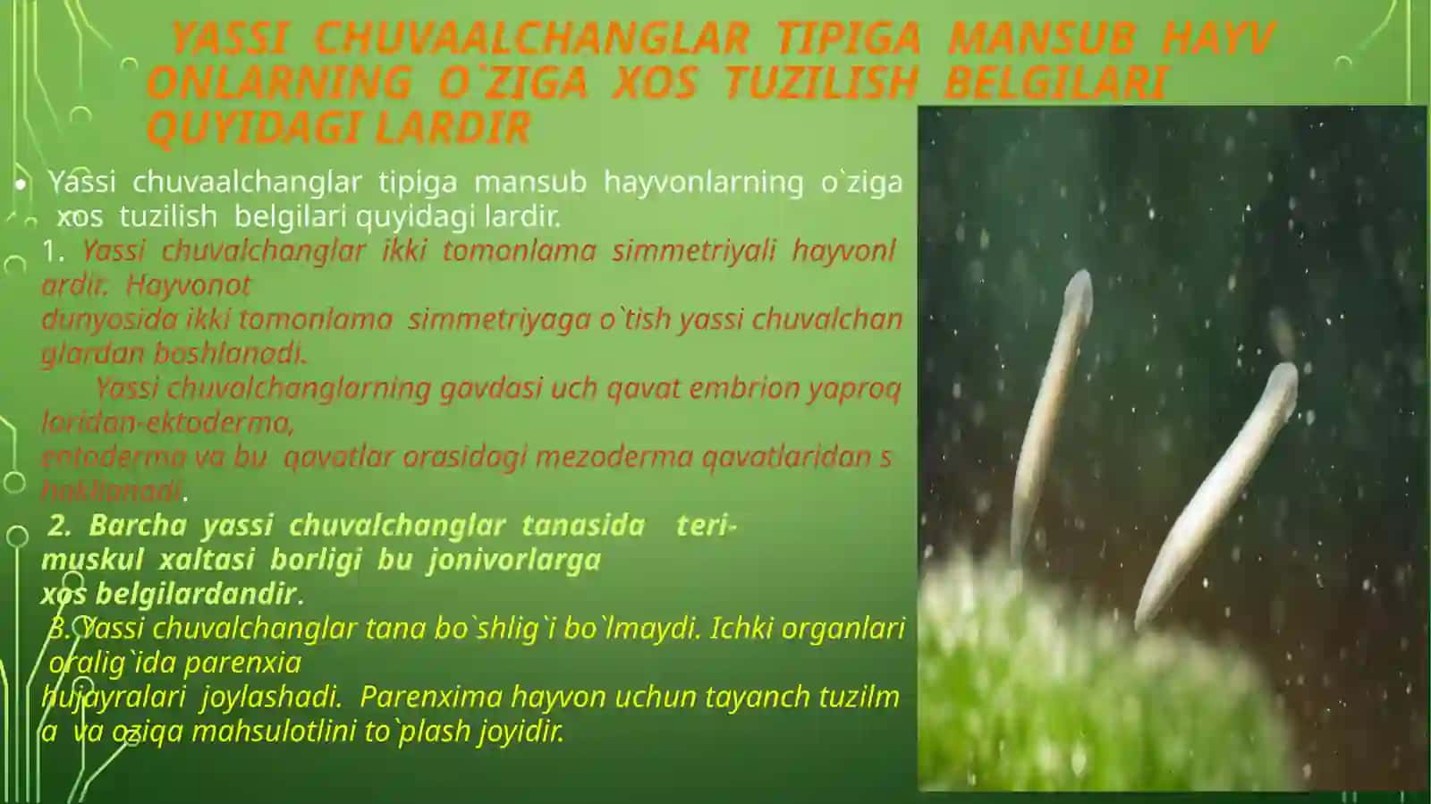Yassi chuvalchanglar 3