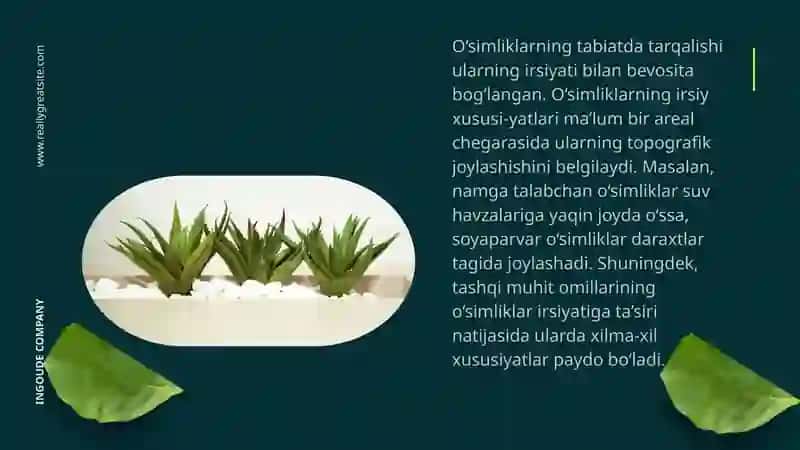O'simliklarni qurg‘oqchilikka chidamliligi 3