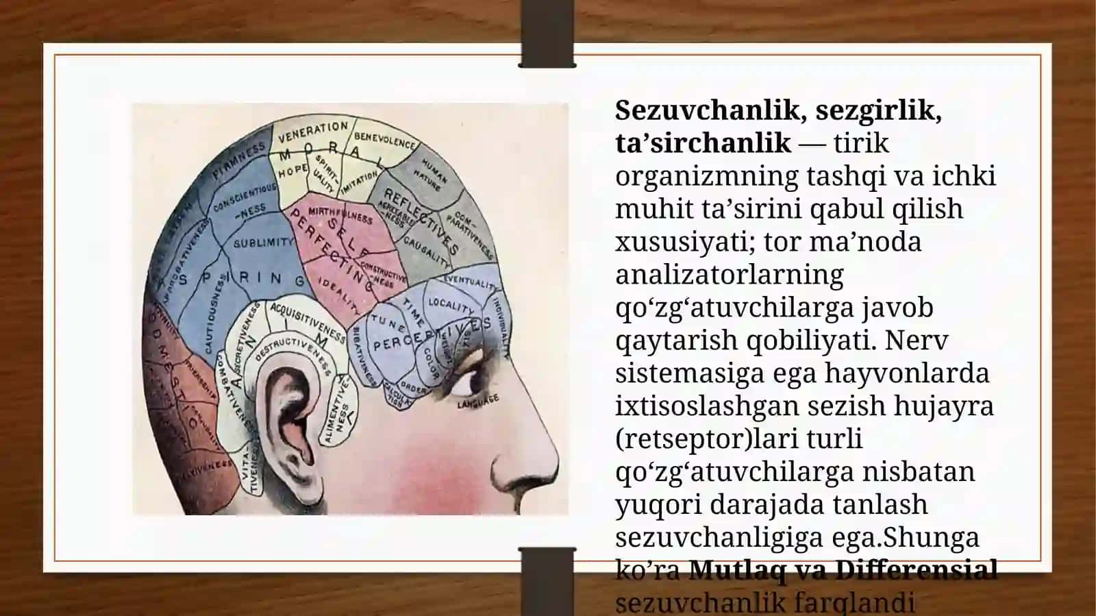 MUTLAQ VA DIFFERENSIAL SEZGIRLIKNI O’RGANISH 3