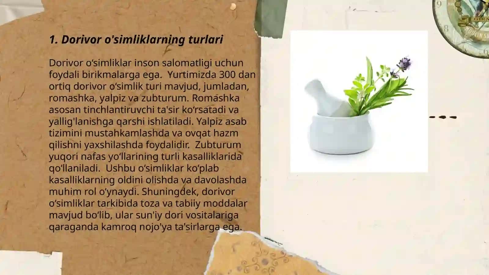 Dorivor o'simliklar 3