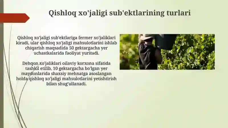 Qishloq xo'jaligi sub'ektlari 3
