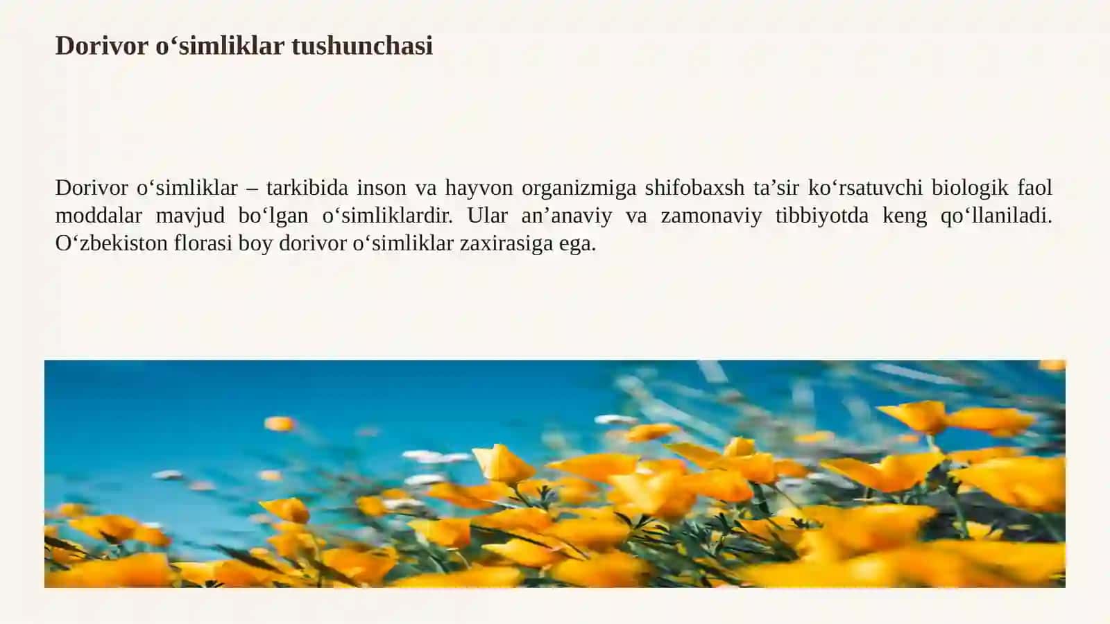 Dorivor o‘simliklar va ularning ahamiyati 3