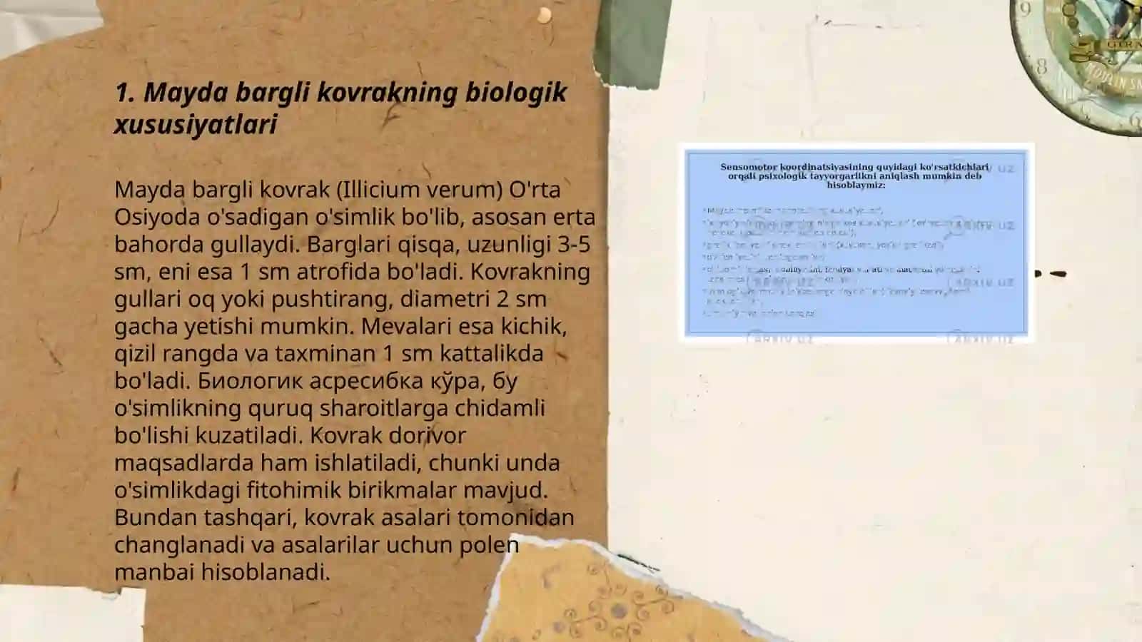 Mayda bargli kovrakni yetishtirish texnologiyasi 3