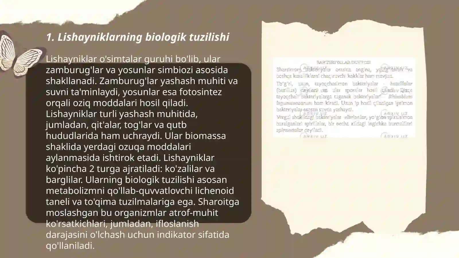 Lishayniklarning klassifikatsiyasi va ko'payish usullari 3