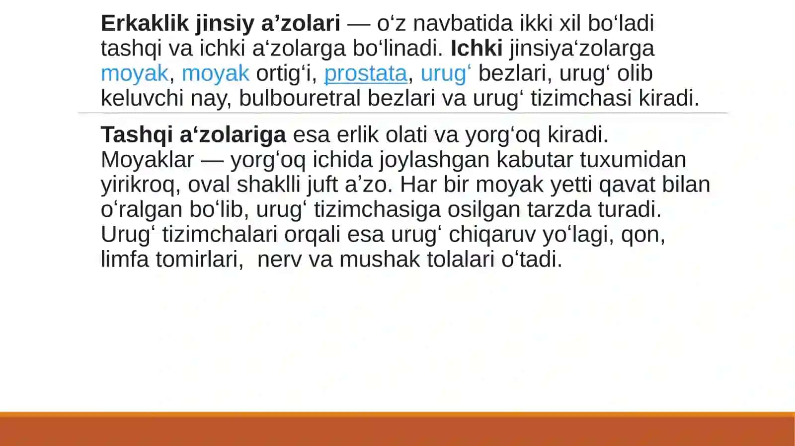 Erkaklar reproduktiva’zolari tizimi 3
