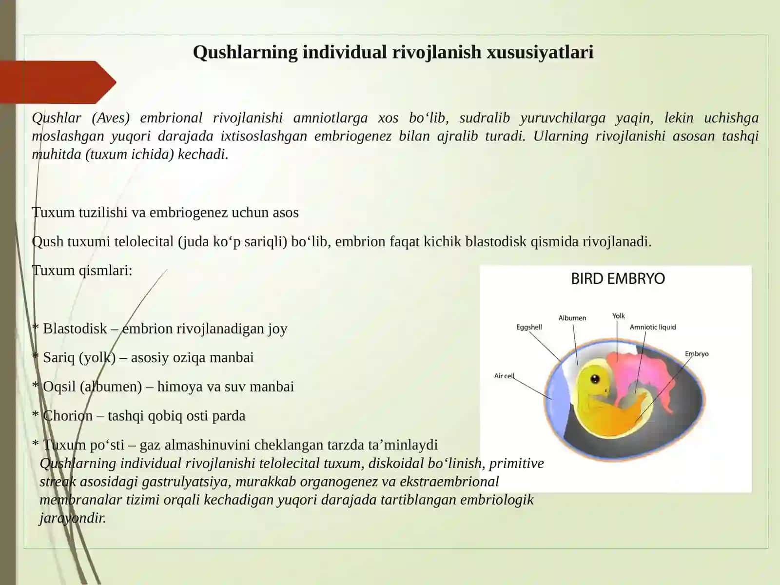 Qushlarning individual rivojlanish xususiyatlari 2026 yil 3