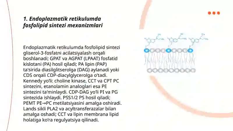Lipid sintezi va transporti 3