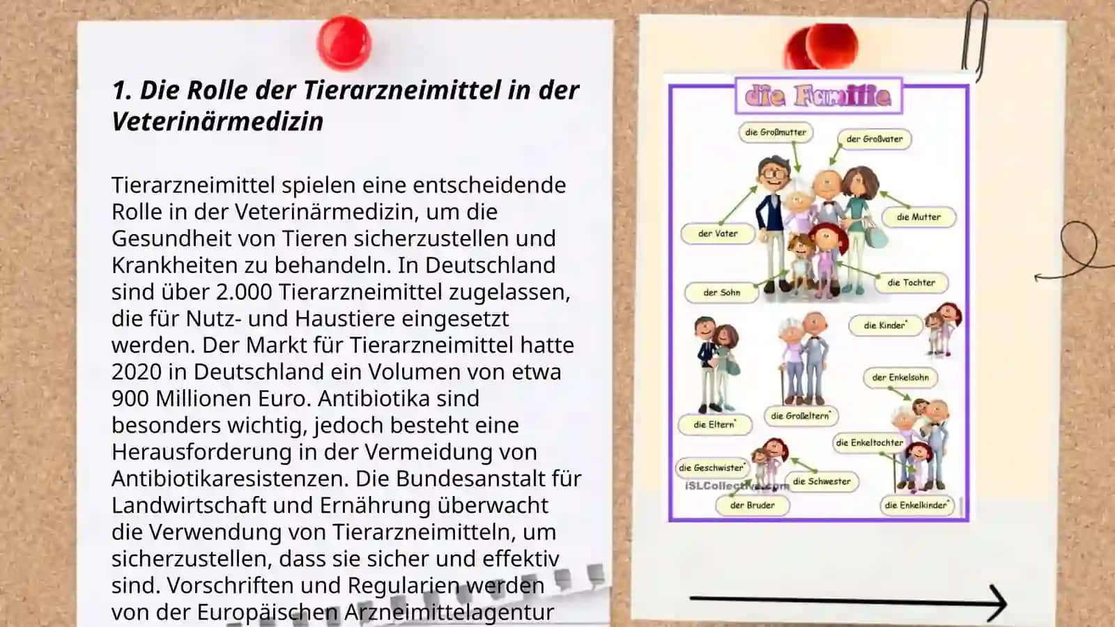 Die Rolle der Tierarzneimittel in der Veterinärmedizin 3