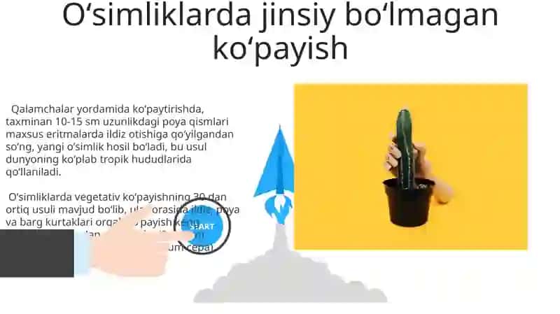 Oʻsimliklarda jinsiy boʻlmagan koʻpayish 3