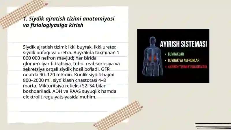 Siydik ajratish tizimi 3