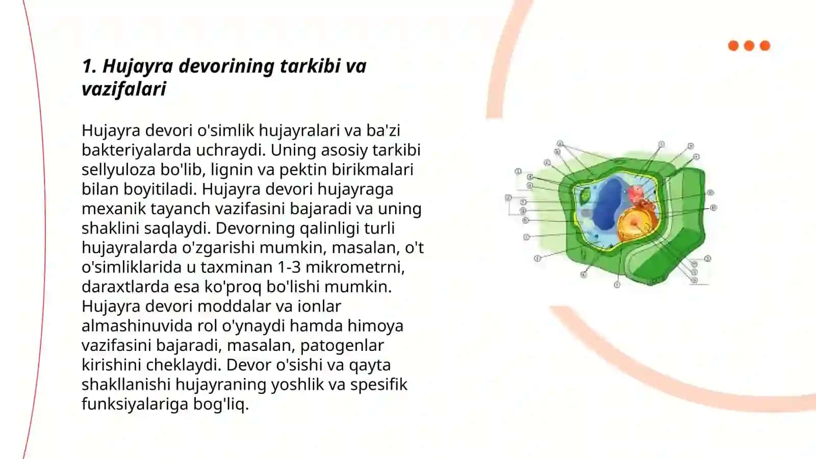 Hujayra  devori, biologik  membrana, protoplazma 3
