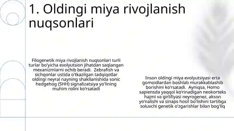 ODAMDA RIZVOJLANISHNING FILOGENETIK NUQSONLARI 3