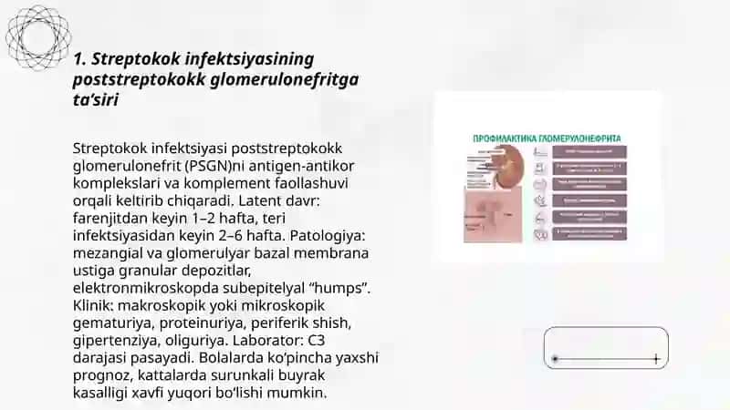 Glomerulonefrit, endokardit,yarali kolit va boshqa kasaliklarni kelib chiqishida mikroorganizmlarni ahamiyati 3
